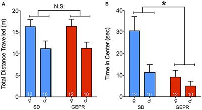 Genetically Epilepsy-Prone Rats Display Anxiety-Like Behaviors and Neuropsychiatric Comorbidities of Epilepsy